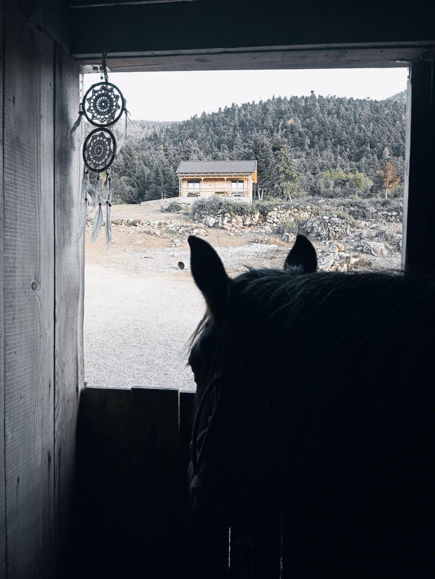 Farm stay The