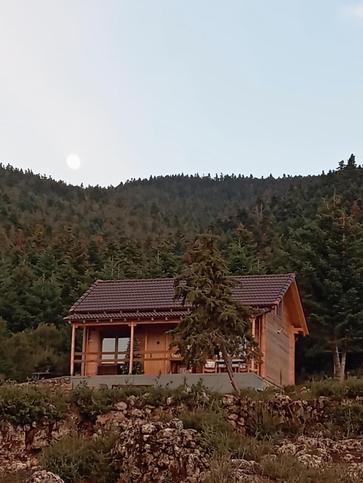 Farm stay The *