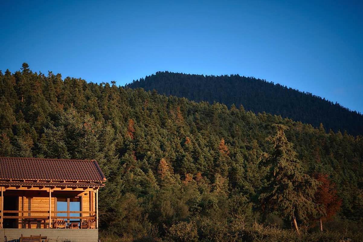 The Farm stay